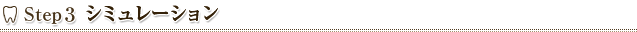 Step3　シミュレーション