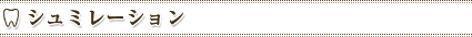 シュミレーション